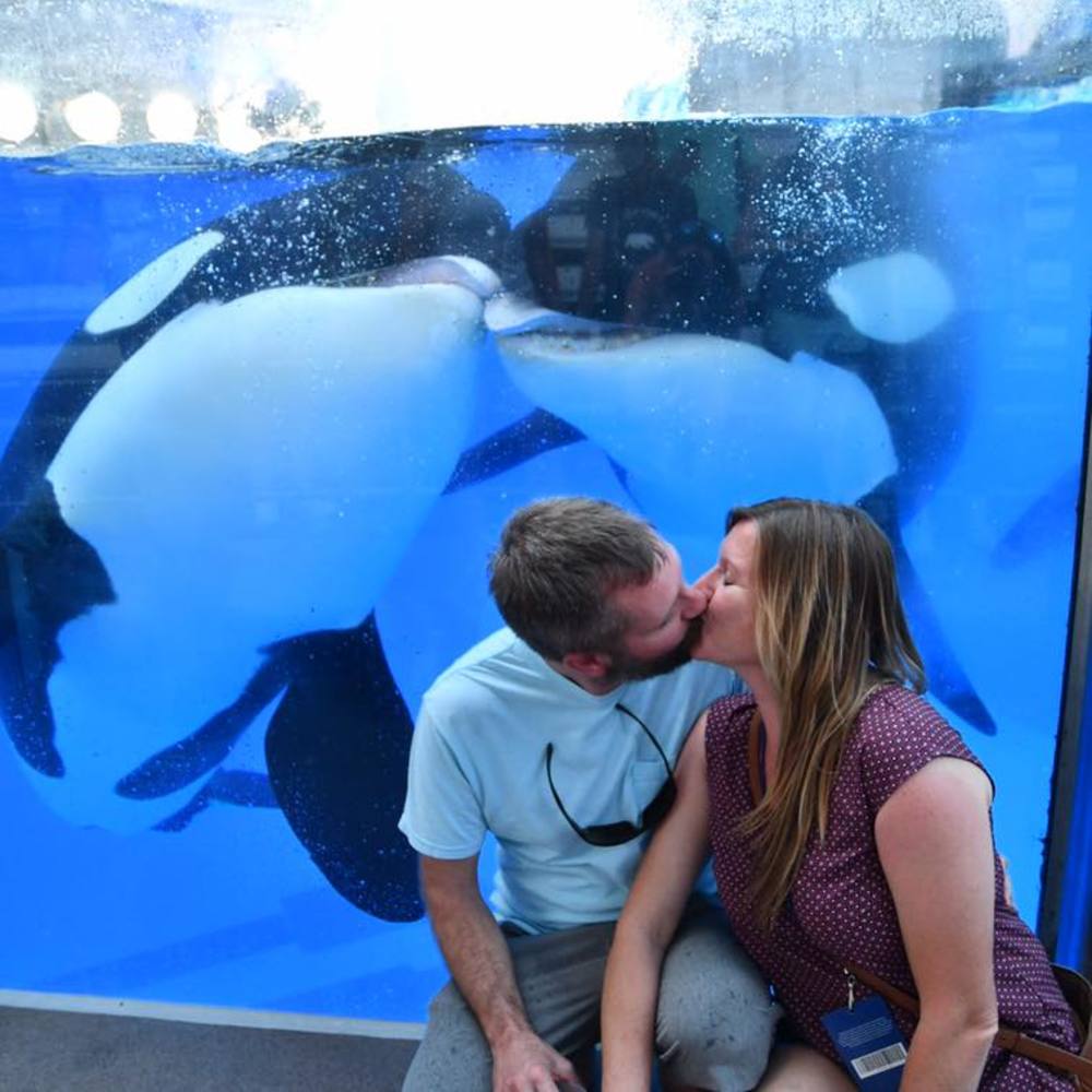 Meet your Posher, Julie